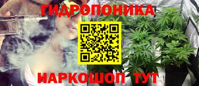 кокс Аргун
