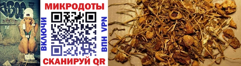 купить  цена  omg как войти  Галлюциногенные грибы ЛСД  Бор 