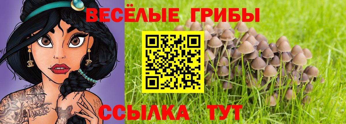 Галлюциногенные грибы Psilocybine cubensis  Вход с VPN  что такое   Бор 